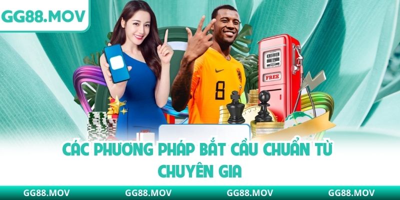 Các phương pháp bắt cầu chuẩn từ chuyên gia